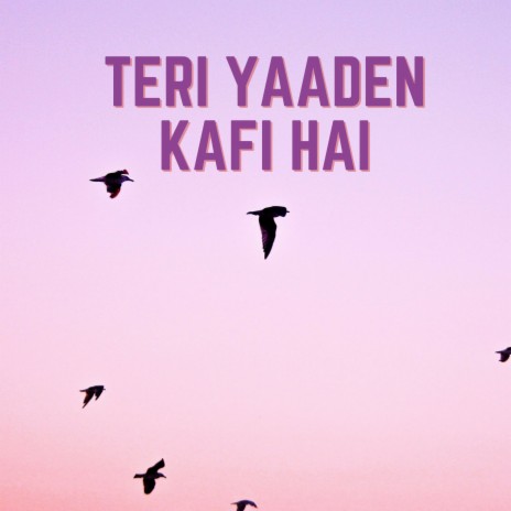 Teri Yaaden Kafi Hai | Boomplay Music