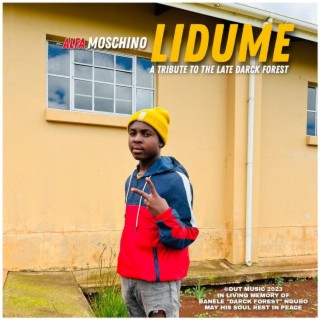 Lidume (A tribute to the late Darck Forest)