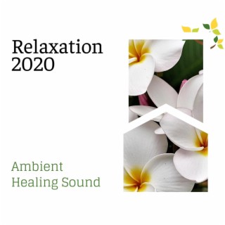 Relaxation 2020 - Ambient Healing Sound