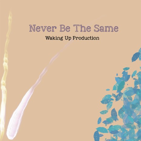 Never Be the Same | Boomplay Music