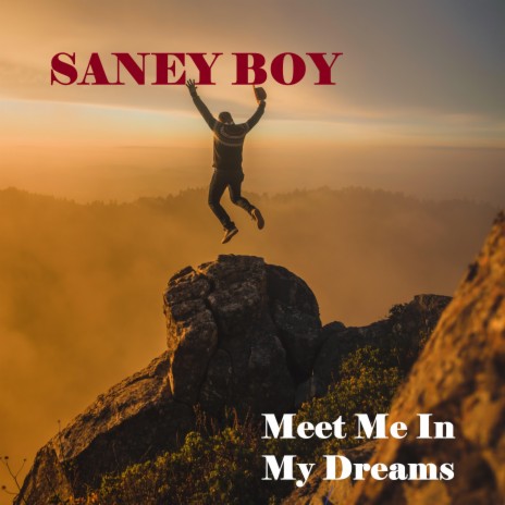 Meet Me In My Dreams | Boomplay Music