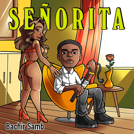 Señorita | Boomplay Music