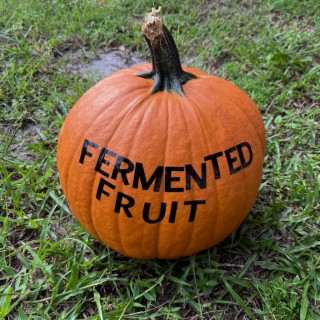 Fermented Fruit lyrics | Boomplay Music
