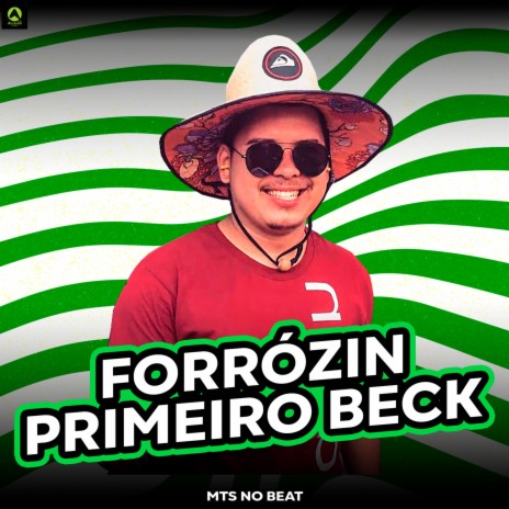 Forrózin Primeiro Beck (feat. Alysson CDs Oficial) | Boomplay Music