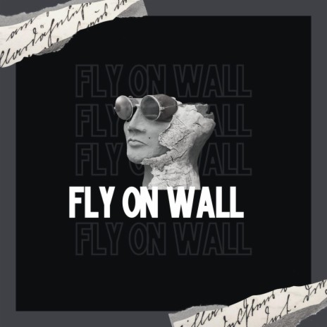 Fly on Wall | Boomplay Music