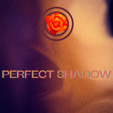 Perfect Shadow | Boomplay Music