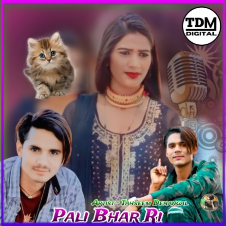 Pali Bhar Ri ft. Aslam Singer Mewati | Boomplay Music