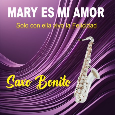 Mary es mi amor /Solo con ella vivo la felicidad (Cover) | Boomplay Music