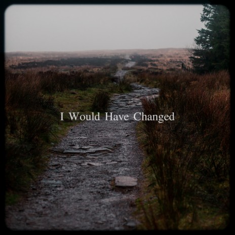 I Would Have Changed | Boomplay Music