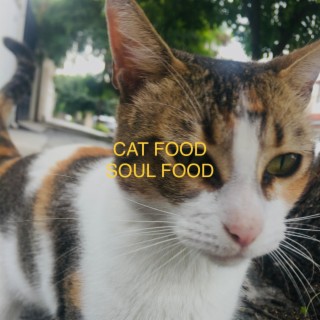 CAT FOOD SOUL FOOD