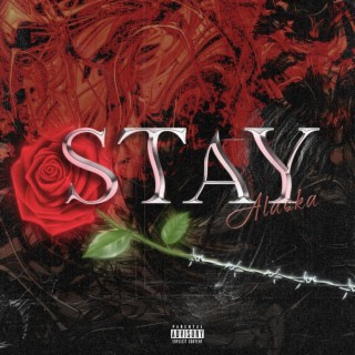 Stay lyrics | Boomplay Music