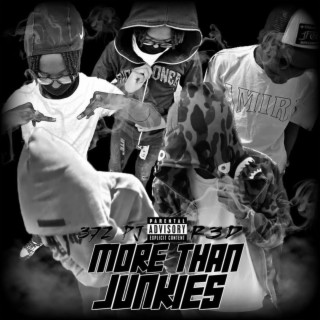 More Than Junkies