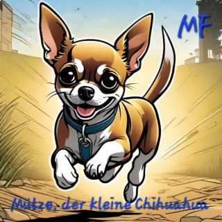 Mütze, der kleine Chihuahua lyrics | Boomplay Music