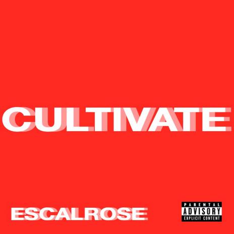 Cultivate | Boomplay Music