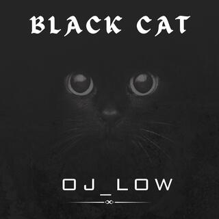 Black cat