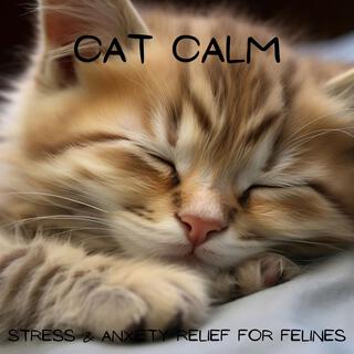 Cat Calm: Stress & Anxiety Relief for Felines