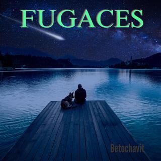 FUGACES