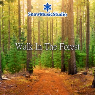Walk In The Forest