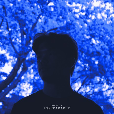 Inseparable | Boomplay Music