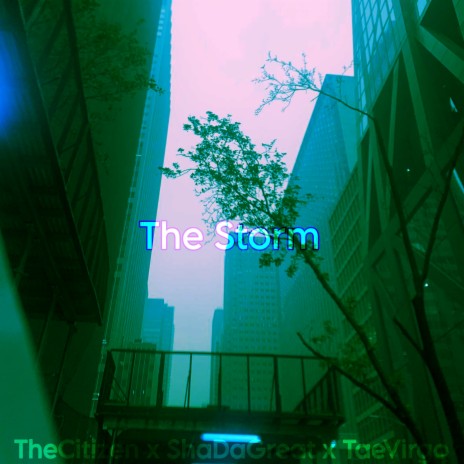 The Storm ft. Shadagreat & Taevirgo