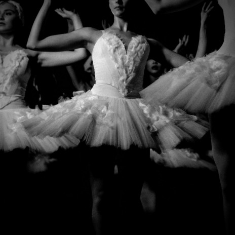 dance of the sugar plum fairy (rain)