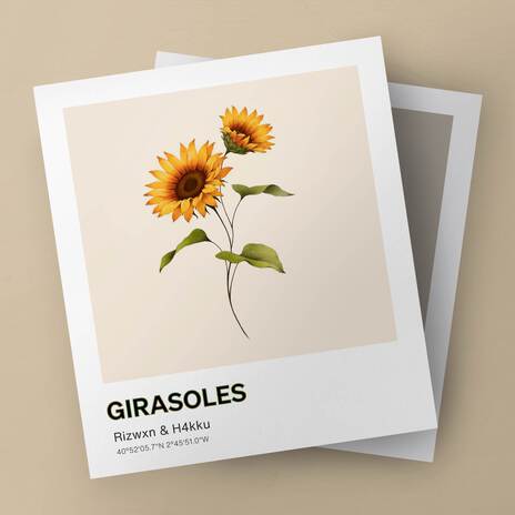 GIRASOLES ft. H4kku | Boomplay Music