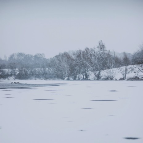 Silent Winter | Boomplay Music