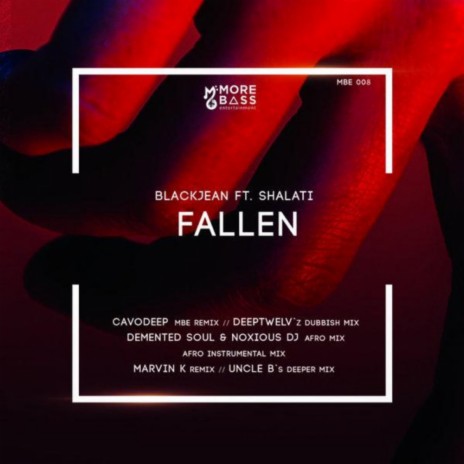 Fallen (Deeptwelv Dubbish Remix) ft. Shalati | Boomplay Music