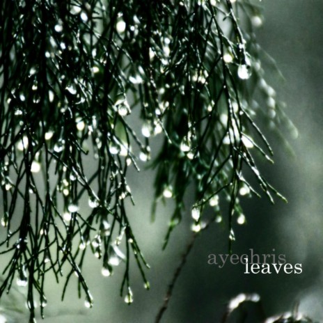 leaves | Boomplay Music