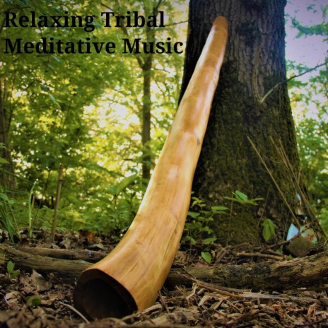 Australian Didgeridoo Ethnic Percussioned | Boomplay Music