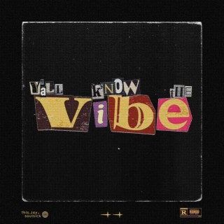 Y'all Know The Vibe ft. SoulSickIronik lyrics | Boomplay Music