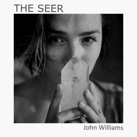 The Seer | Boomplay Music