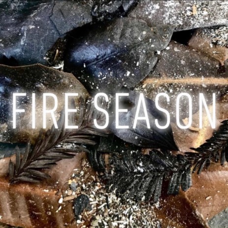 Fire Season | Boomplay Music