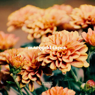 marigold tapes.