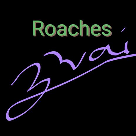 Roaches