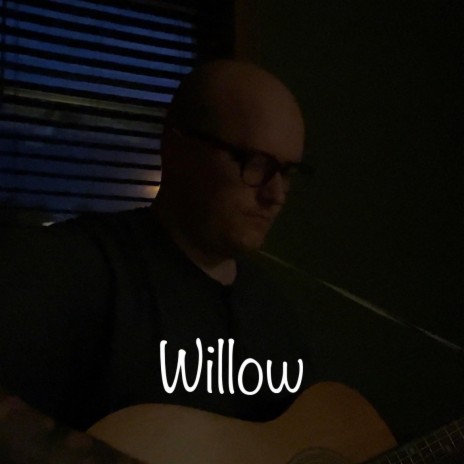 Willow (Acoustic Version) | Boomplay Music
