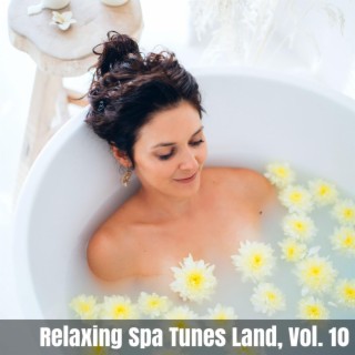 Relaxing Spa Tunes Land, Vol. 10
