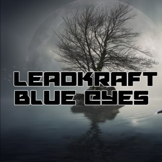 Leadkraft