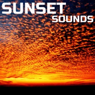 Sunset Sounds