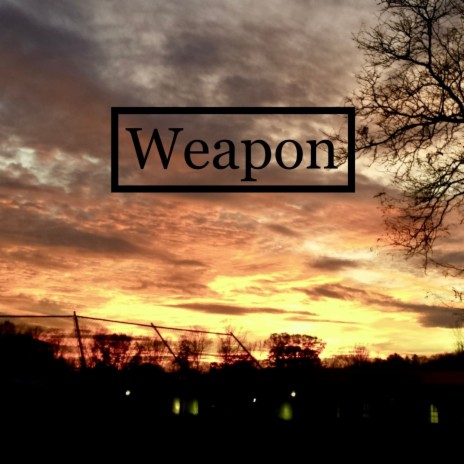 Weapon ft. Steve Cobucci & Nick Aldrich | Boomplay Music