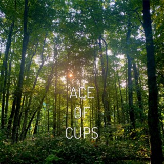 Ace Of Cups lyrics | Boomplay Music