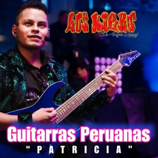 Guitarras Peruanas