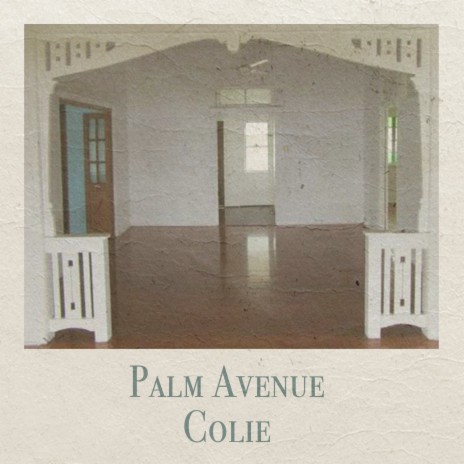 Palm Avenue | Boomplay Music