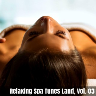 Relaxing Spa Tunes Land, Vol. 03