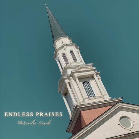 Endless Praises (Live) | Boomplay Music