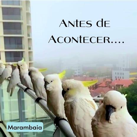 Antes de Acontecer | Boomplay Music