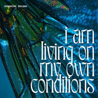 i am living on my own conditions lyrics | Boomplay Music