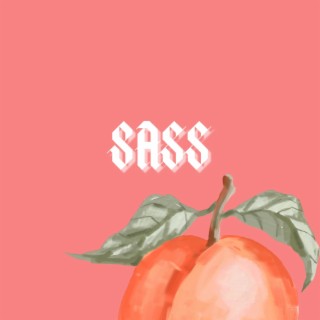 SA$$ lyrics | Boomplay Music