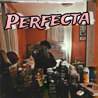 Perfecta lyrics | Boomplay Music