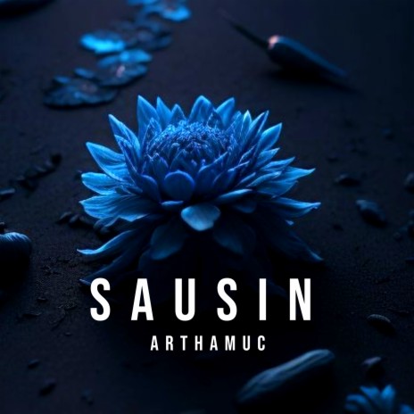 Sausin | Boomplay Music